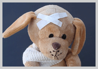 first aid for dogs
